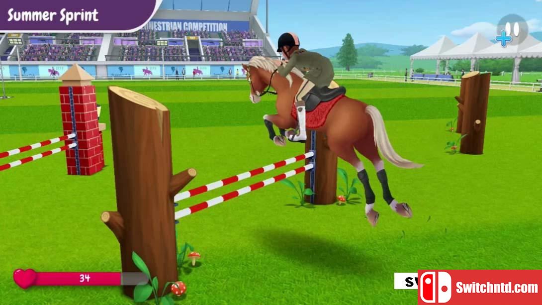 【美版】我的赛马故事 .My Horse Stories 英语_5