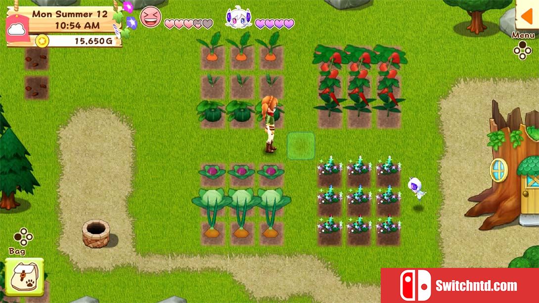 牧场物语：希望之光特别版 Harvest Moon: Light of Hope Special Edi... 英语_3