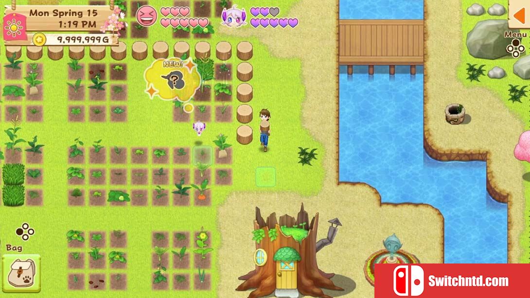 牧场物语：希望之光特别版 Harvest Moon: Light of Hope Special Edi... 英语_2