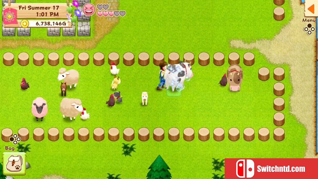 牧场物语：希望之光特别版 Harvest Moon: Light of Hope Special Edi... 英语_6