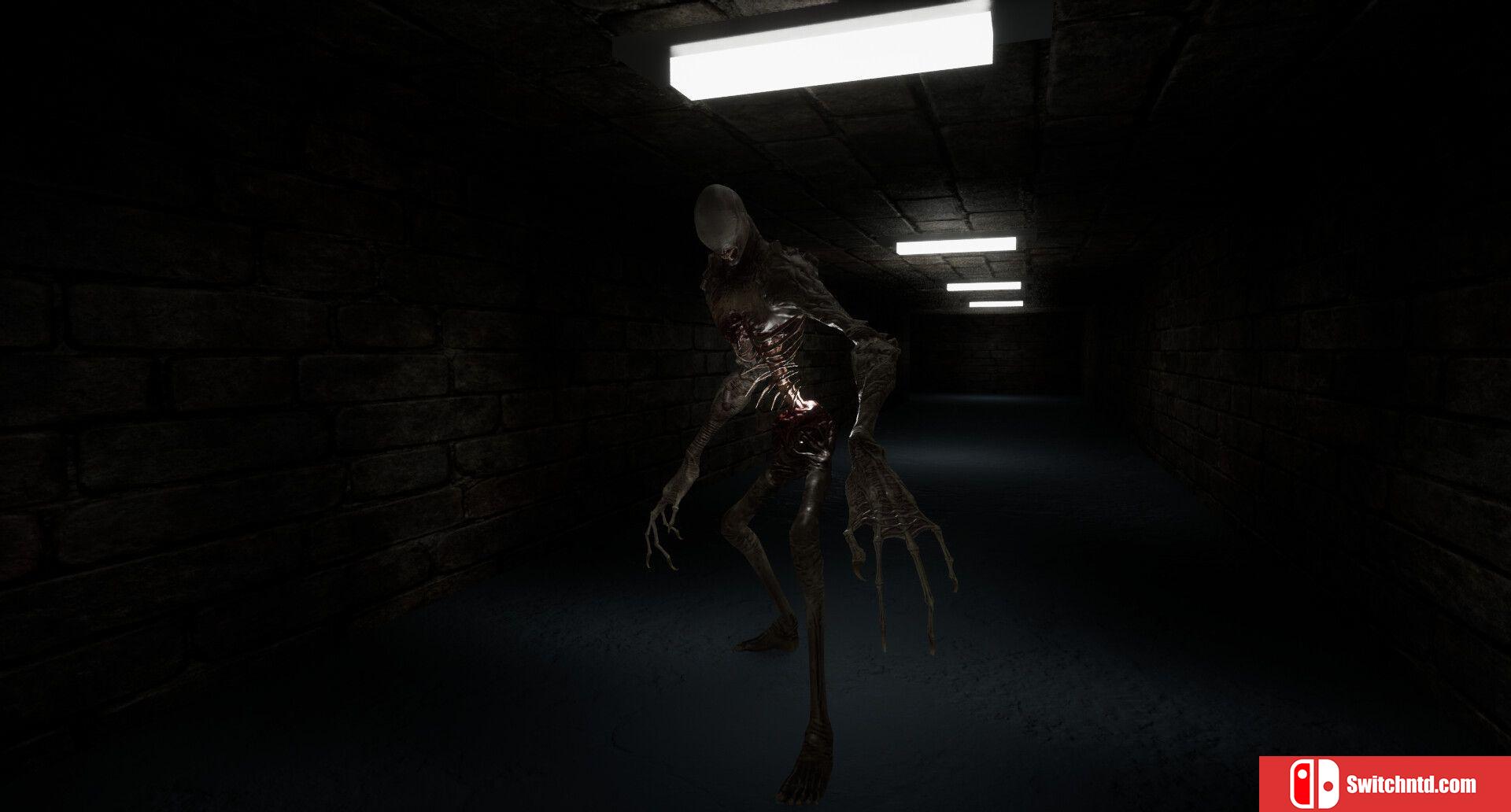 《走廊（The Corridors）》bADkARMA硬盘版[EN]_1