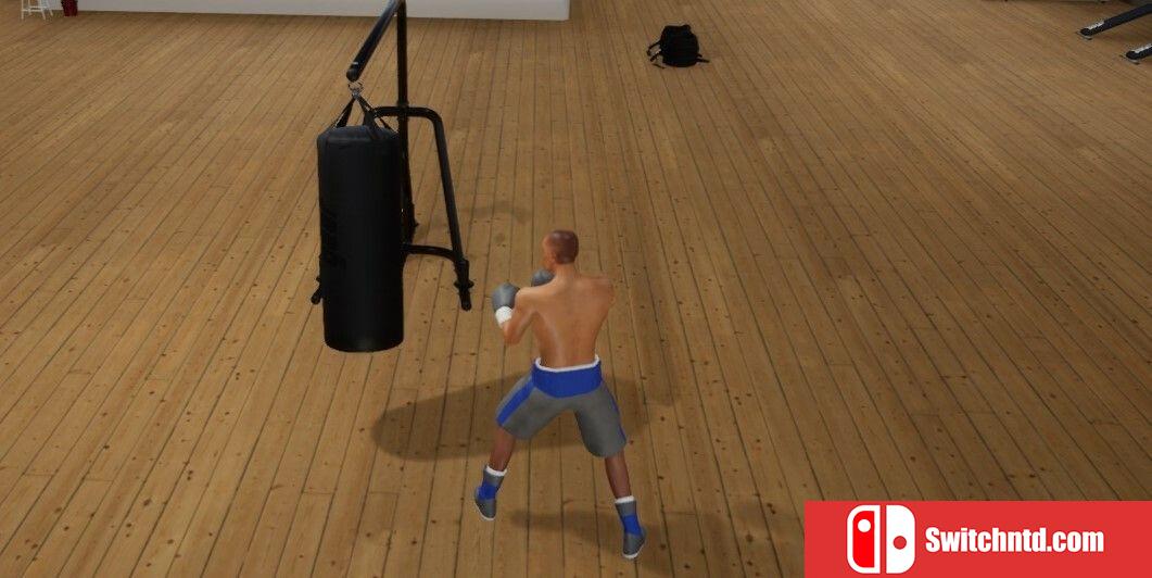 《战术拳击（Tactic Boxing）》TENOKE镜像版[EN]_4