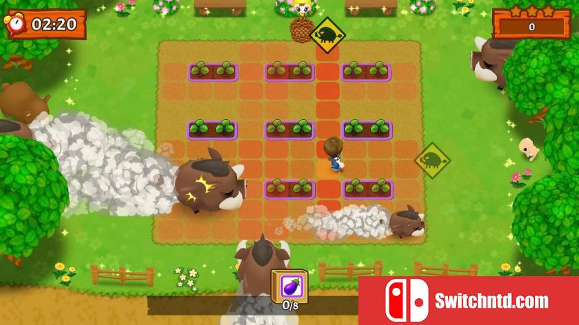 牧场物语：疯狂冲刺 Harvest Moon: Mad Dash ns_4