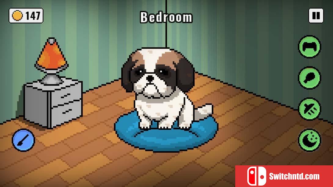 【美版】我的虚拟宠物 .My Virtual Pet 英语_5