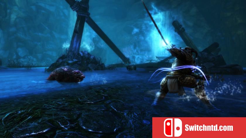 阿玛拉王国：惩罚重制版 Kingdoms of Amalur: Re-Reckoning_4