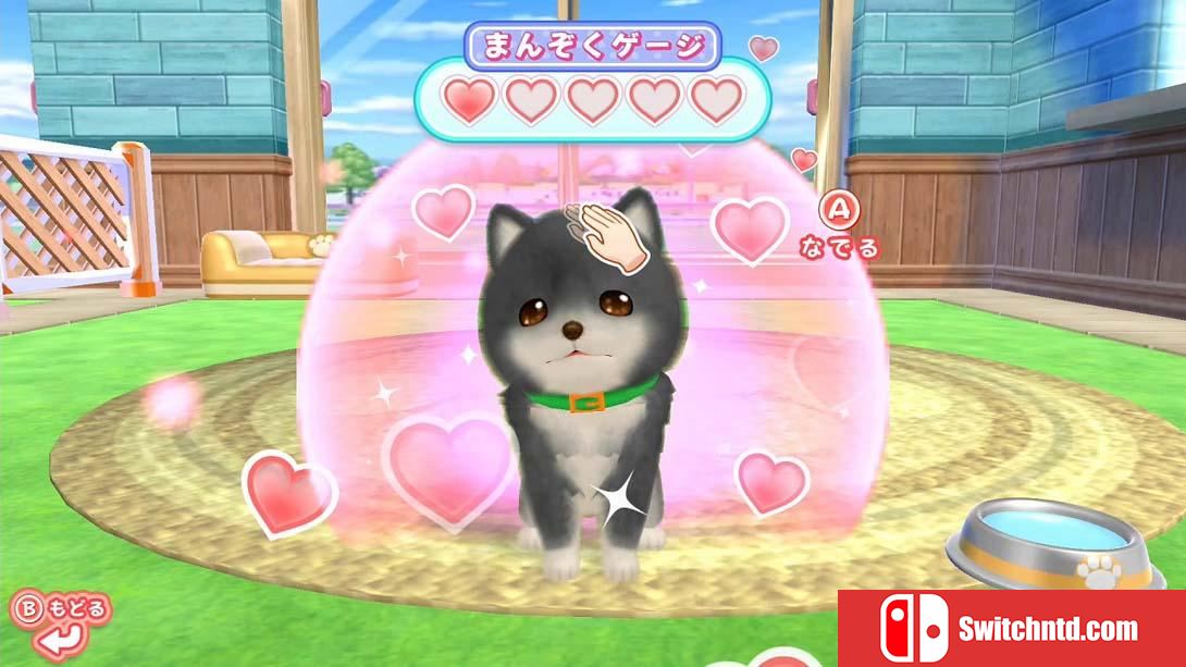 【日版】和狗一起玩!成为一名训狗师! .Play with dogs! Become a dog trainer! 日语_3