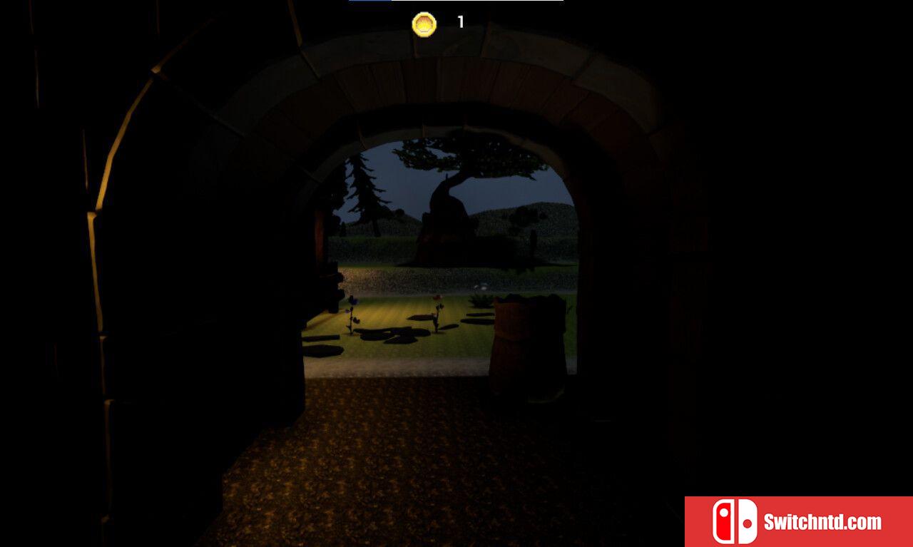 《中世纪猎币（Medieval Coin Hunt）》TENOKE镜像版[EN]_3