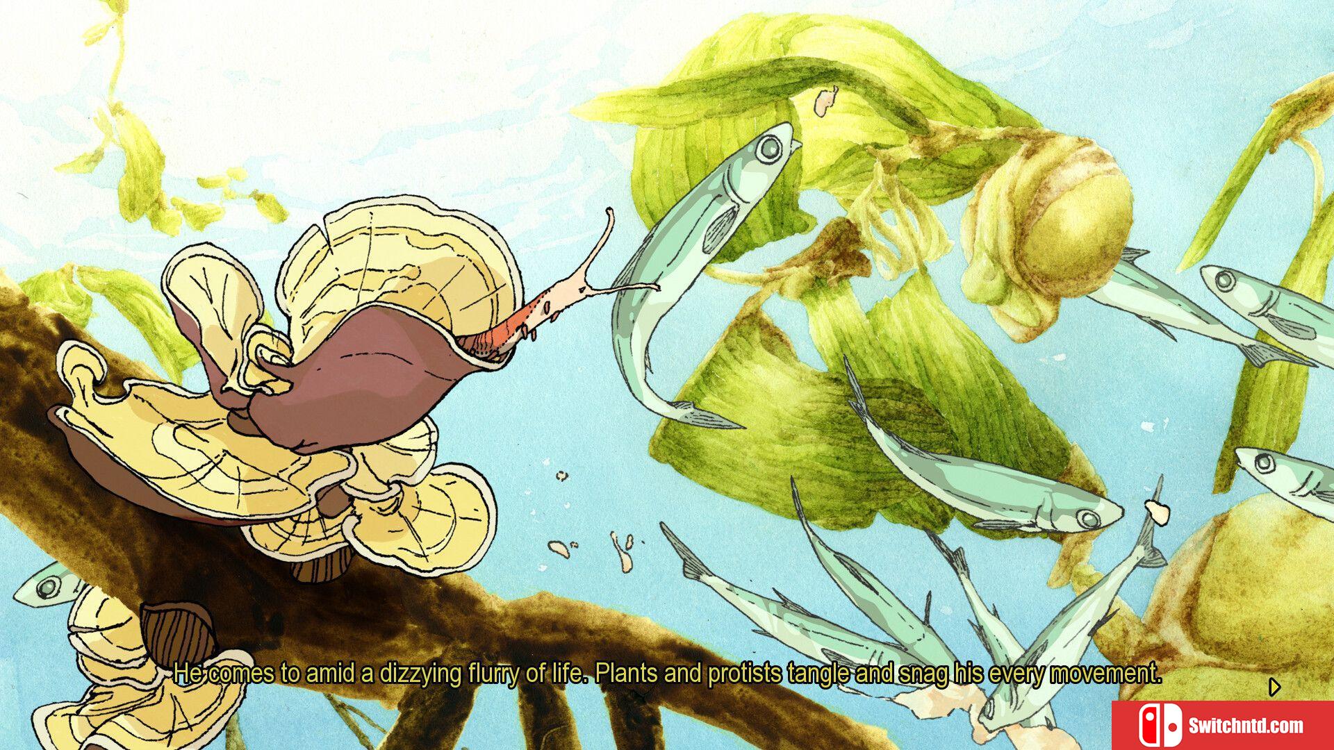 《南斯克里姆肖，第一部分（South Scrimshaw, Part One）》GOG硬盘版[EN]_4