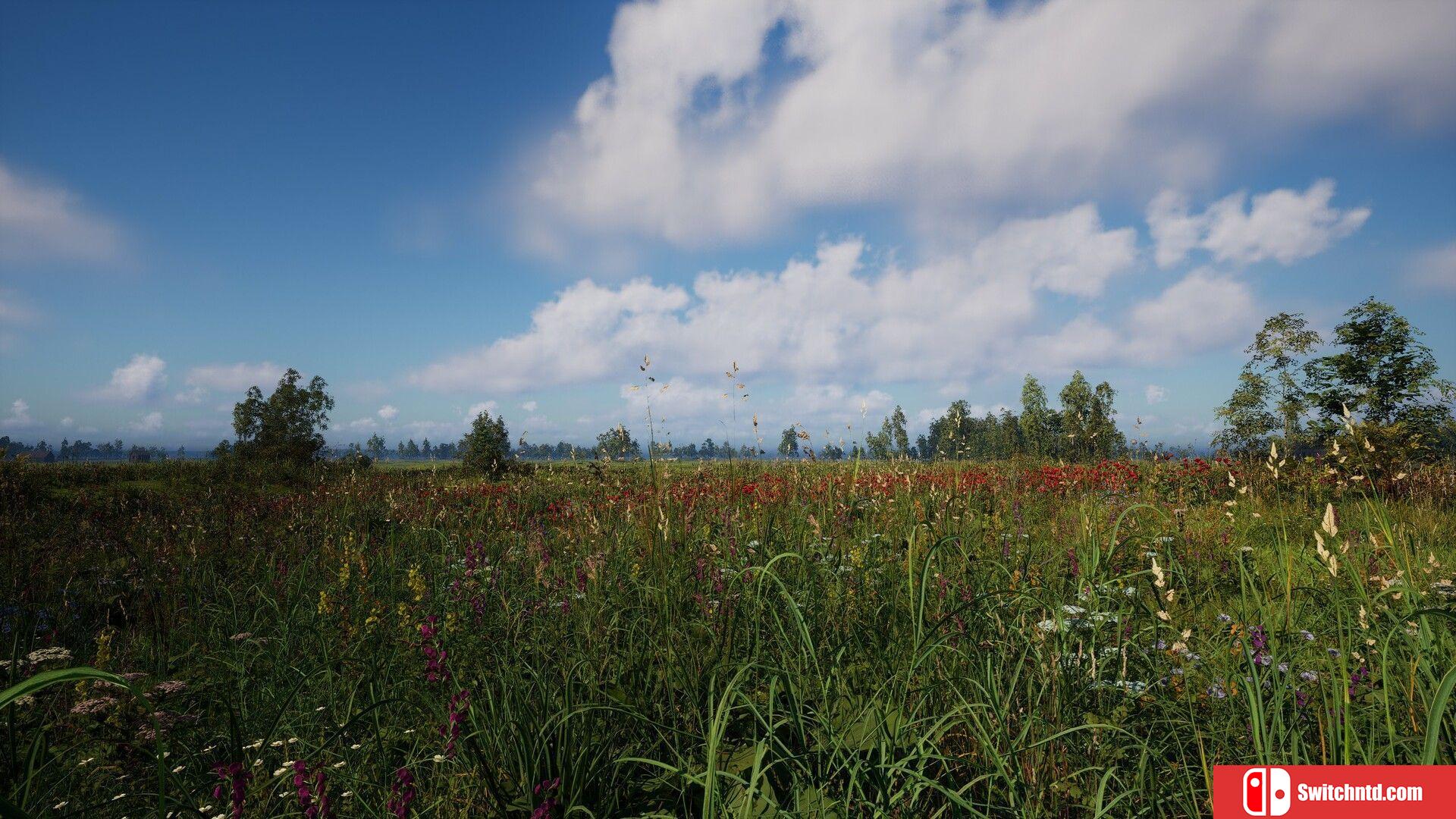 《俄罗斯灵魂模拟器（Russian Soul Simulator）》TENOKE镜像版[EN]_1