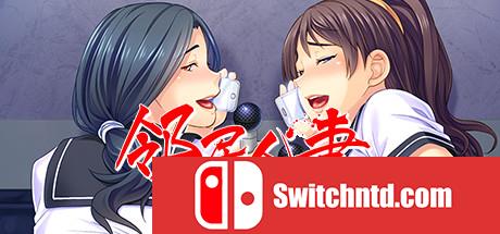 4556