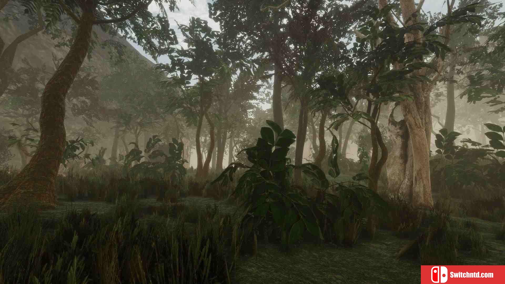 《森林（Forest）》DARKSiDERS镜像版[EN]_3