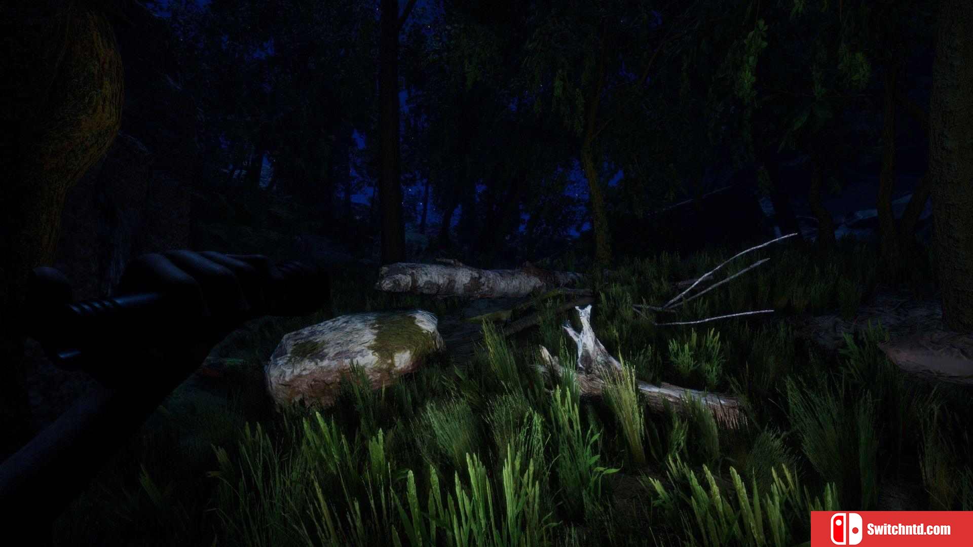 《森林（Forest）》DARKSiDERS镜像版[EN]_2