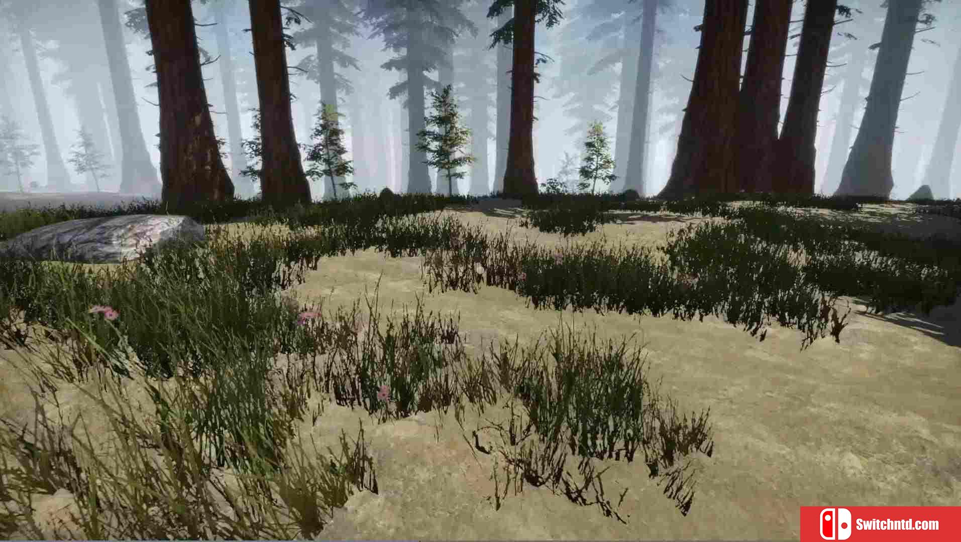 《失踪飞机：生存（Missing Plane: Survival）》PLAZA镜像版[EN]_2