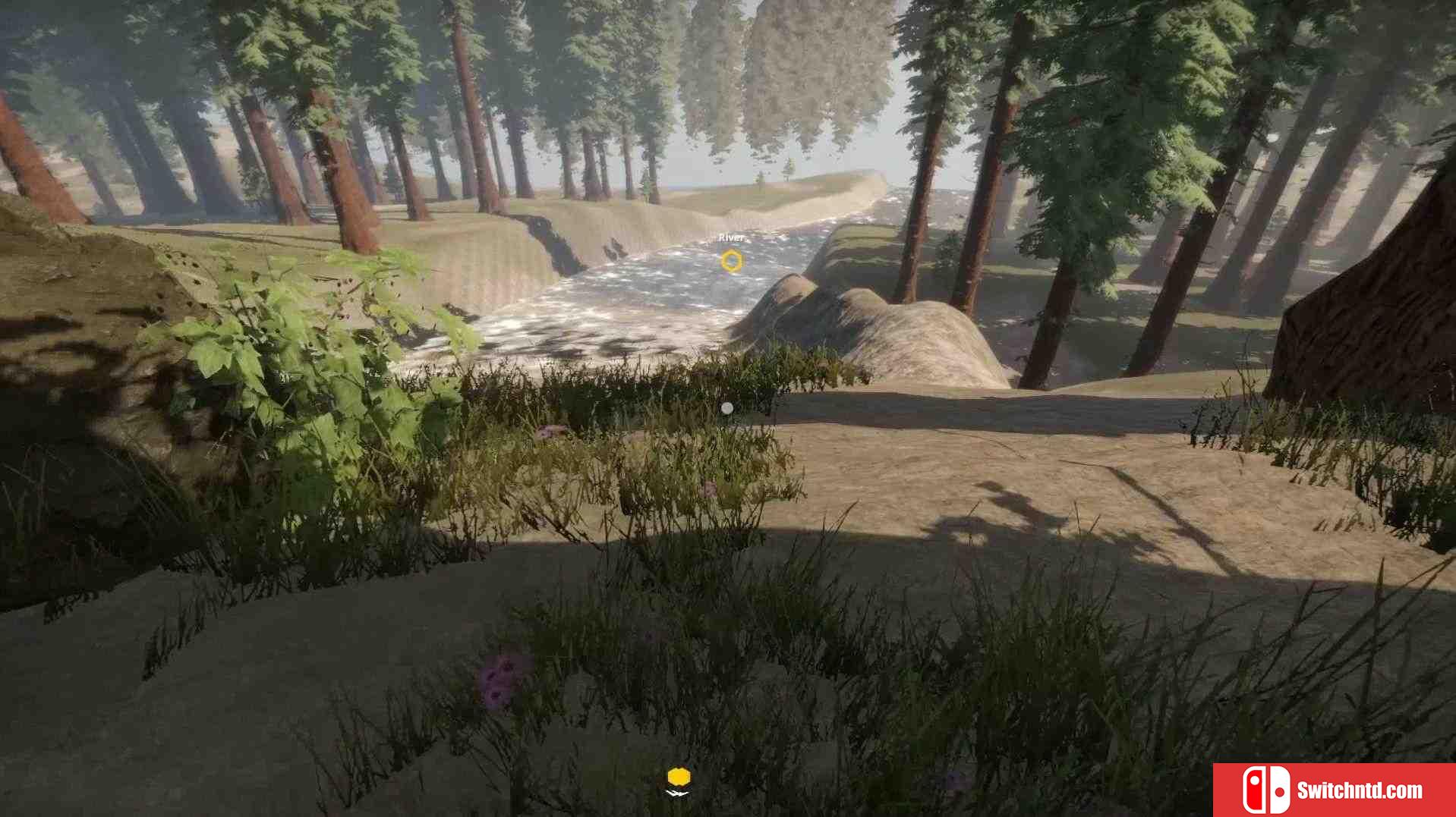 《失踪飞机：生存（Missing Plane: Survival）》PLAZA镜像版[EN]_5