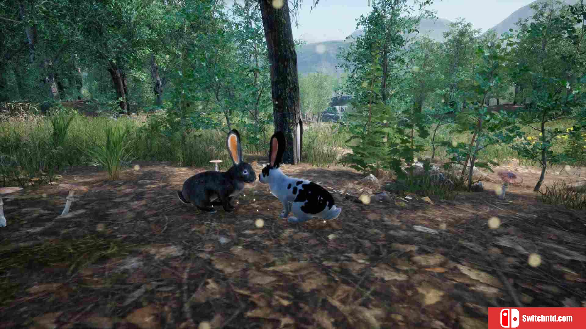 《兔子草场（Rabbit Meadow）》TiNYiSO镜像版[EN]_4