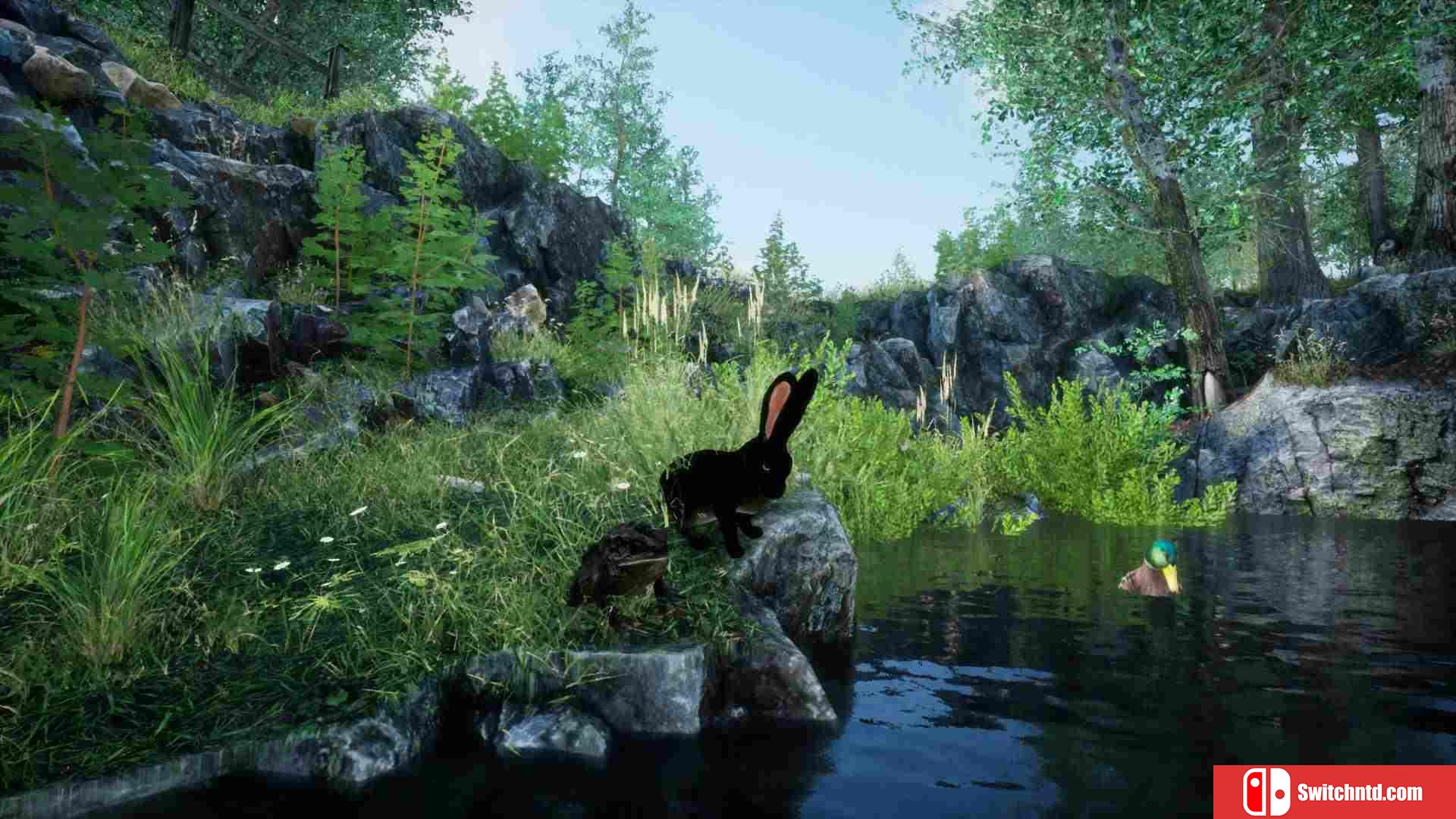 《兔子草场（Rabbit Meadow）》TiNYiSO镜像版[EN]_2