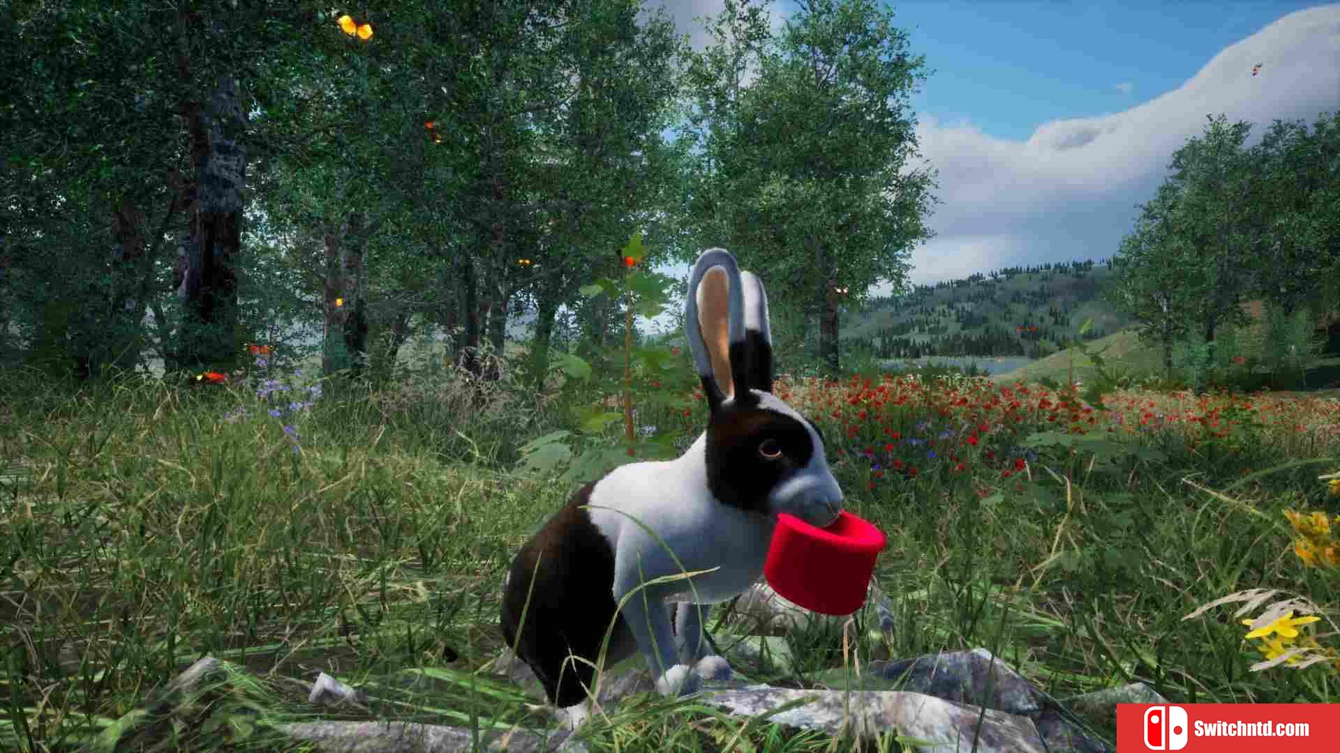 《兔子草场（Rabbit Meadow）》TiNYiSO镜像版[EN]_1