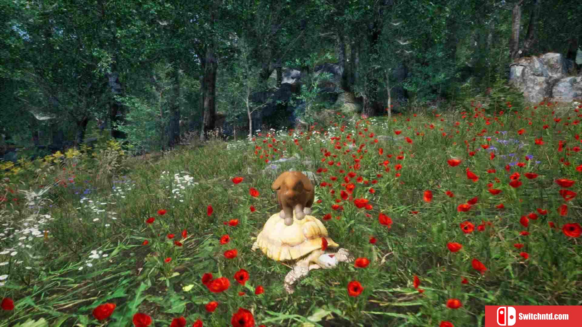 《兔子草场（Rabbit Meadow）》TiNYiSO镜像版[EN]_3