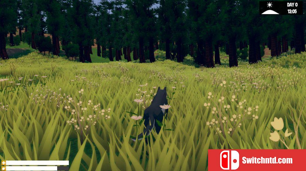 《野狼（Wild Wolf）》DARKZER0硬盘版[EN]_2