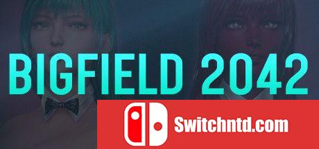 《大地2042（Bigfield 2042）》DARKSiDERS镜像版[EN]_0