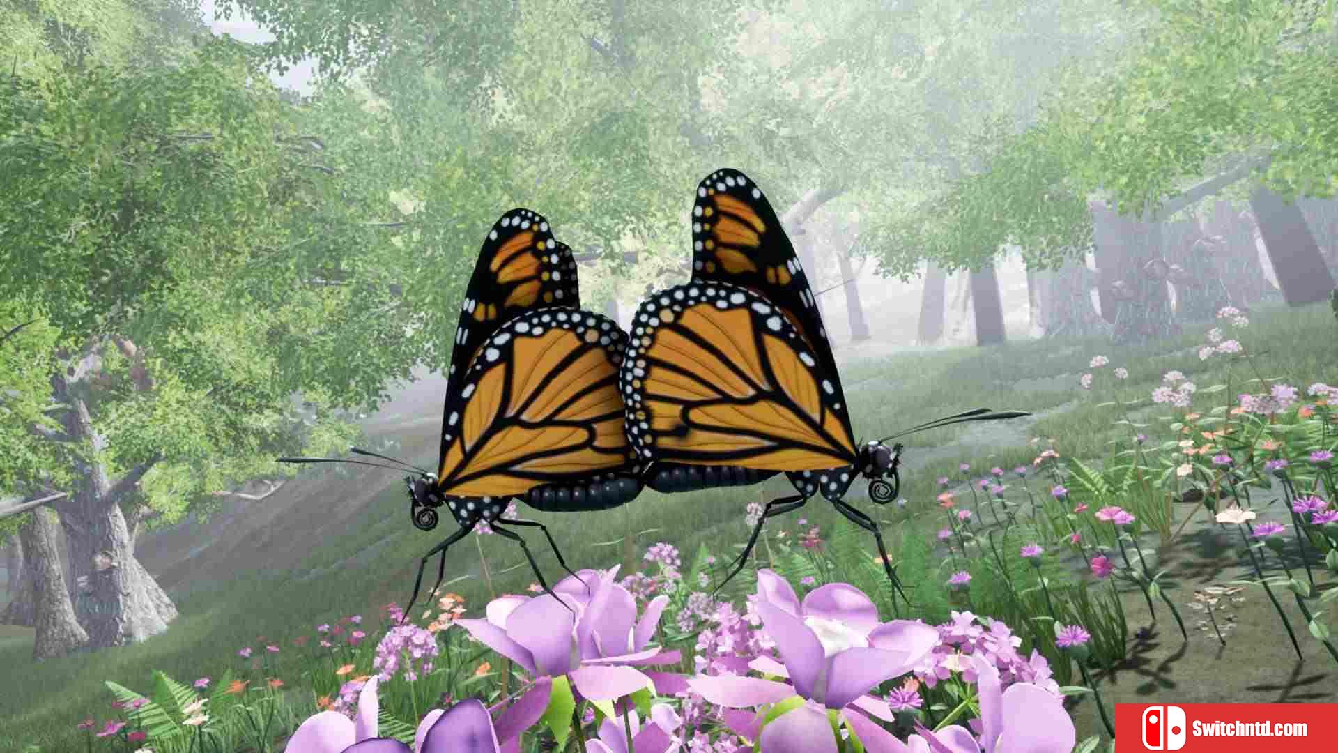 《自然与生命：醉心花蜜（Nature And Life - Drunk On Nectar）》v0.4.3 P2P硬盘版[EN]_1