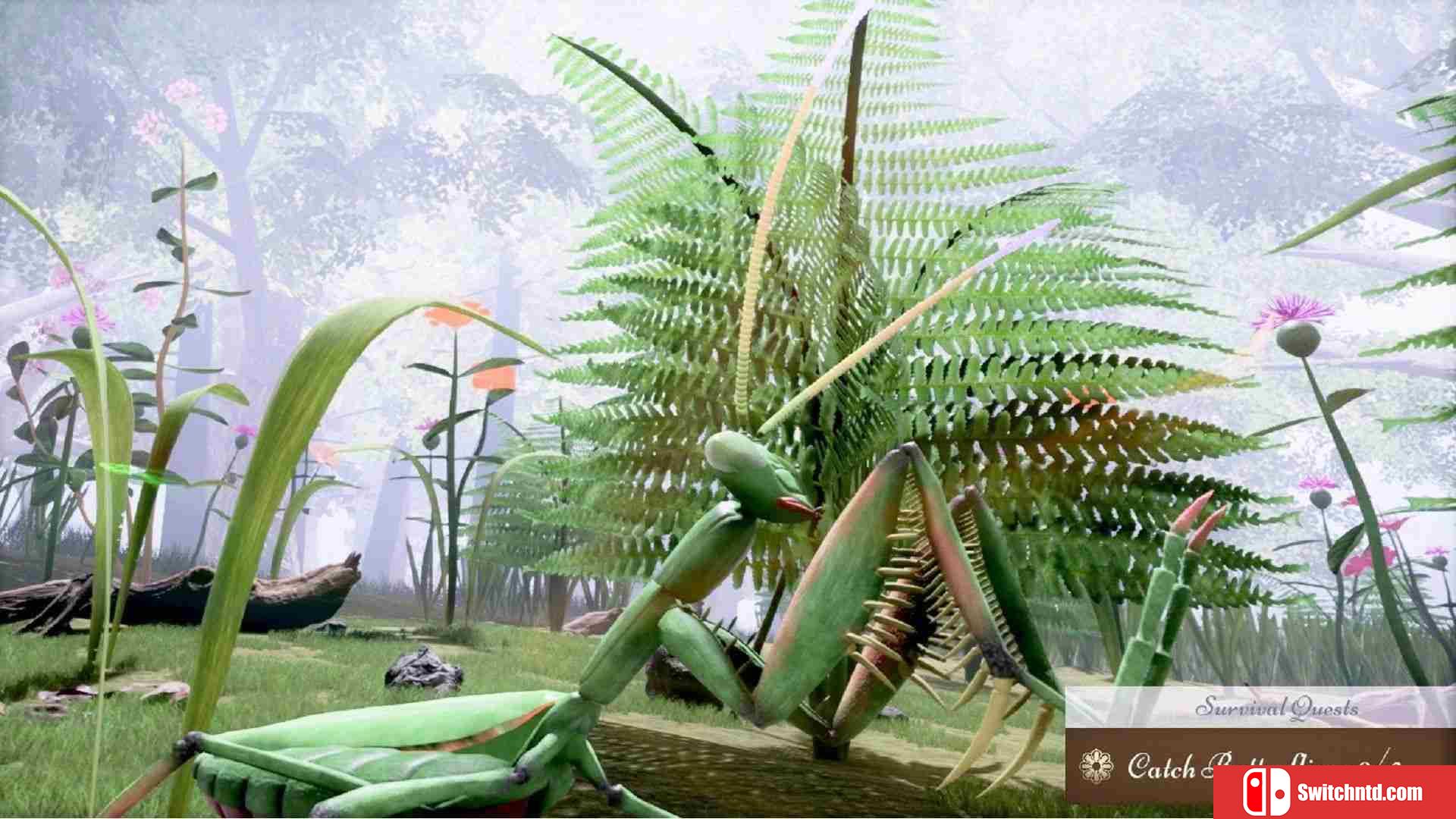 《自然与生命：醉心花蜜（Nature And Life - Drunk On Nectar）》v0.4.3 P2P硬盘版[EN]_2