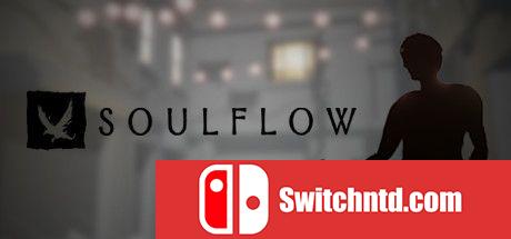 《灵魂之流（Soulflow）》DARKZER0硬盘版[EN]_0