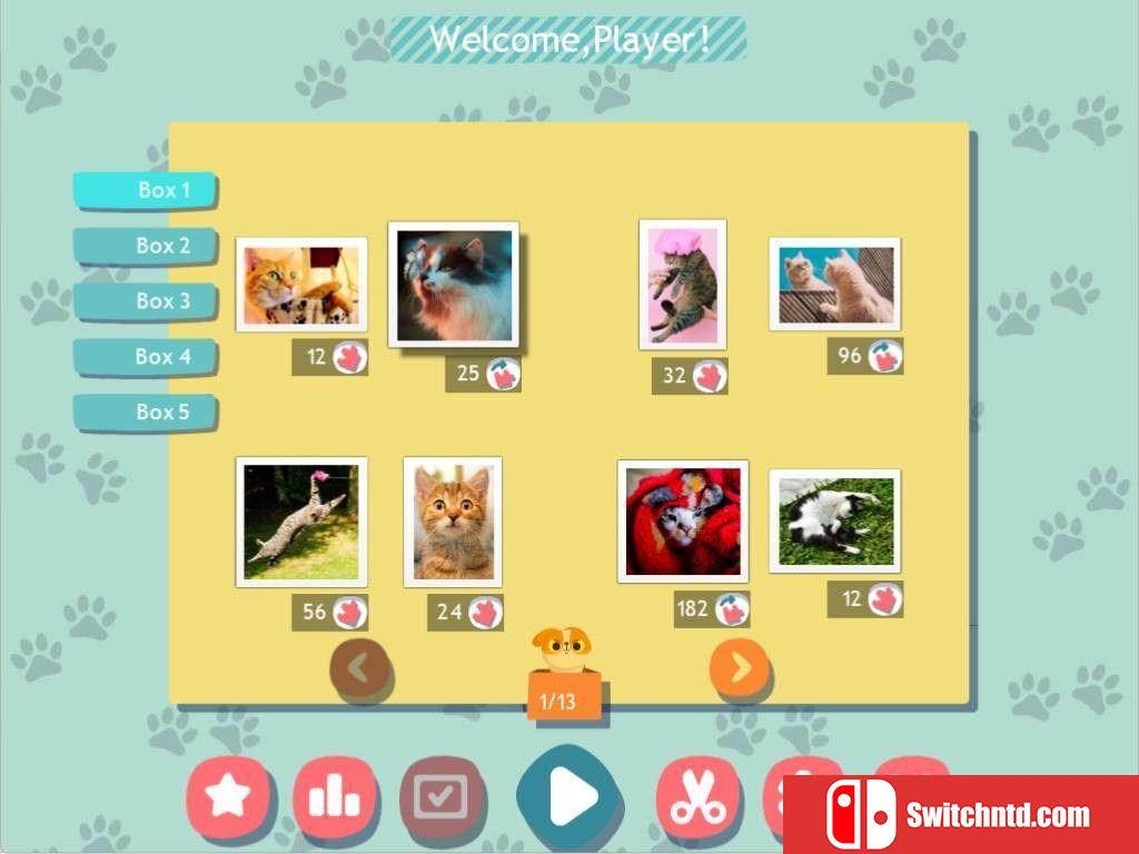 《1001拼图：可爱猫咪（1001 Jigsaw. Cute Cats）》RAZOR硬盘版[EN]_2