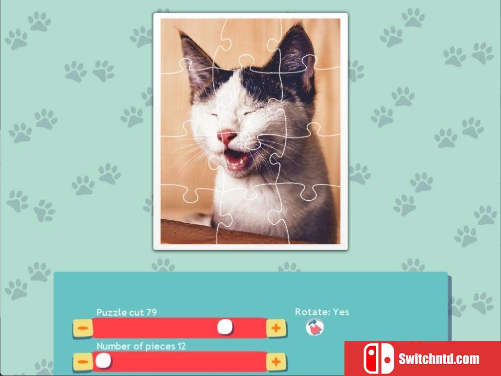 《1001拼图：可爱猫咪（1001 Jigsaw. Cute Cats）》RAZOR硬盘版[EN]_3