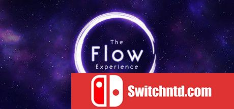 《流动体验（The Flow Experience）》DARKZER0硬盘版[EN]_0