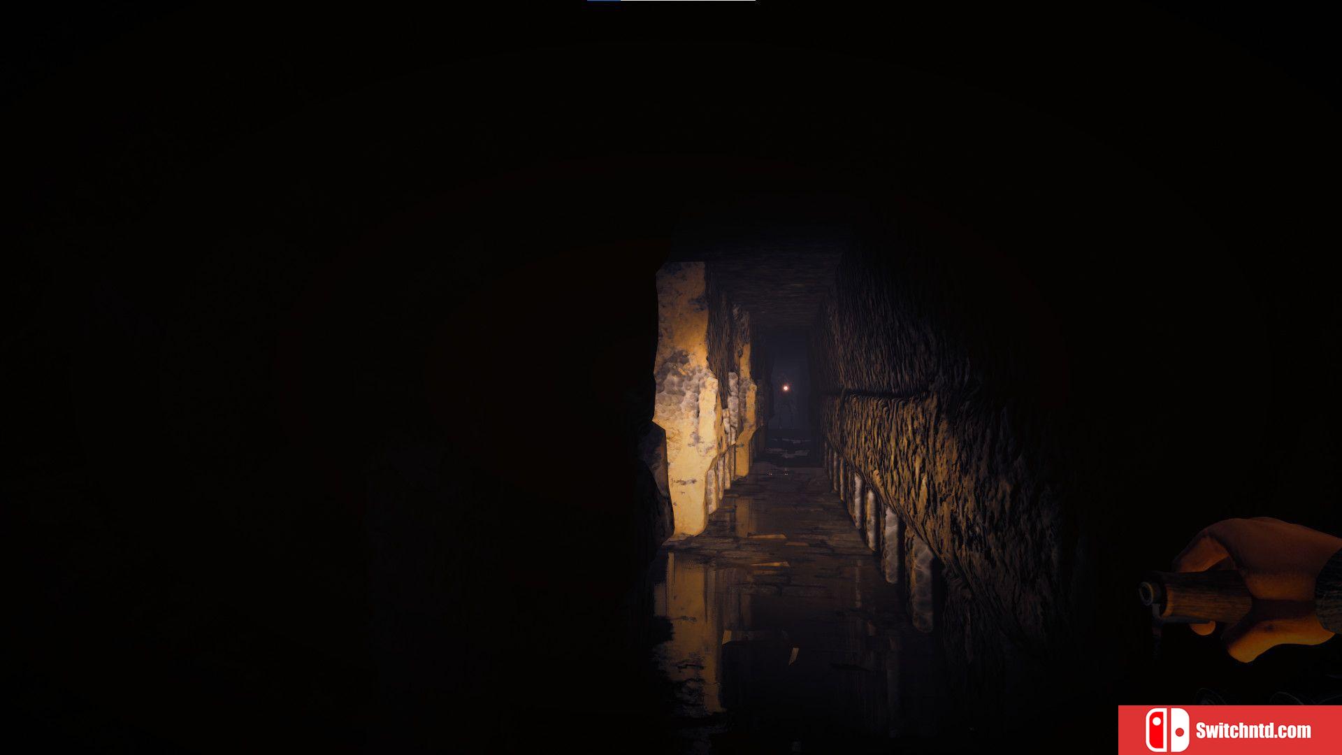 《肖像：下降（Effigy : The Descent）》TiNYiSO镜像版[EN]_5