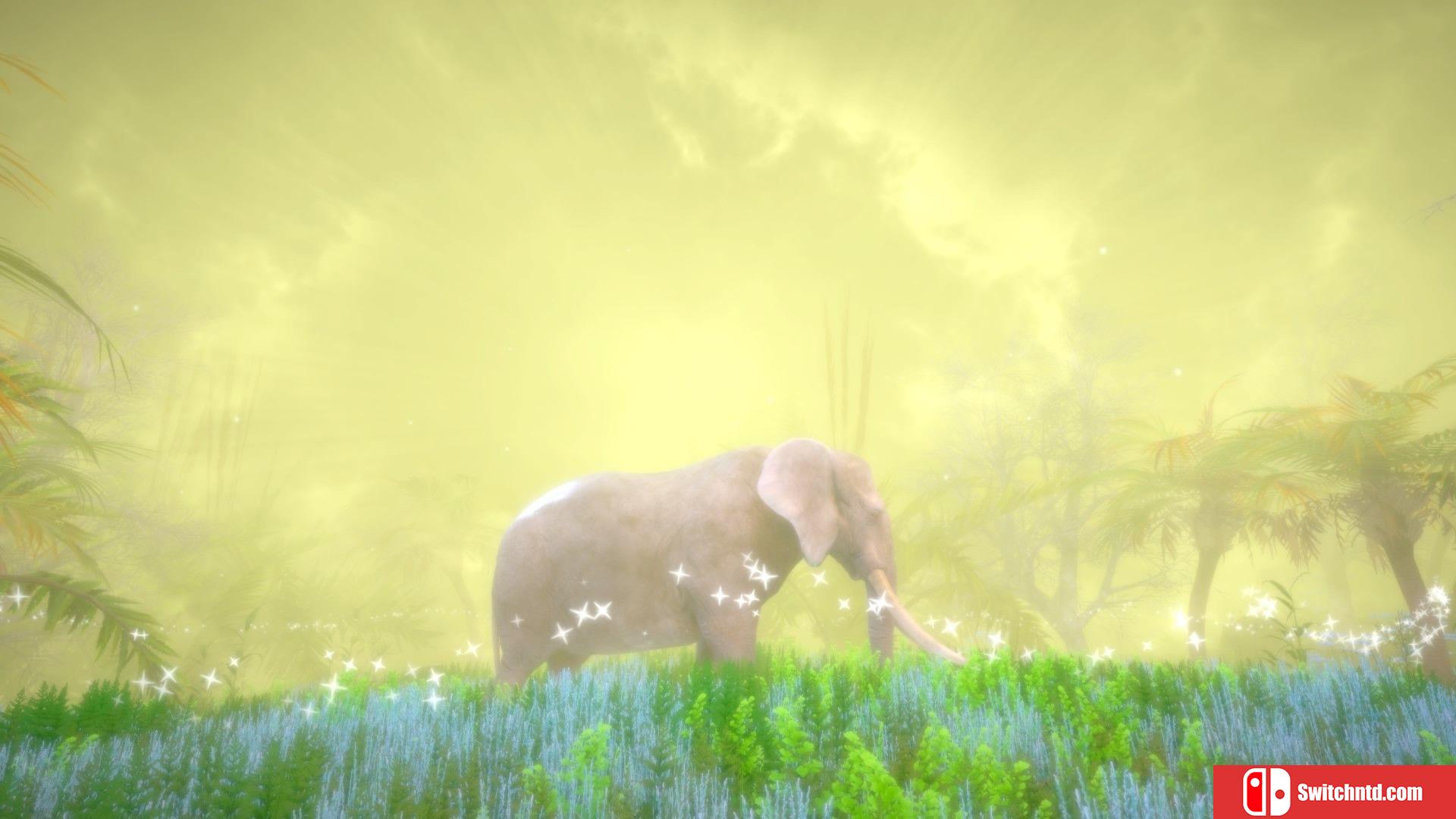 《梦幻森林中的隐藏宝藏（Hidden Treasures in the Forest of Dreams）》TiNYiSO镜像版[EN]_4