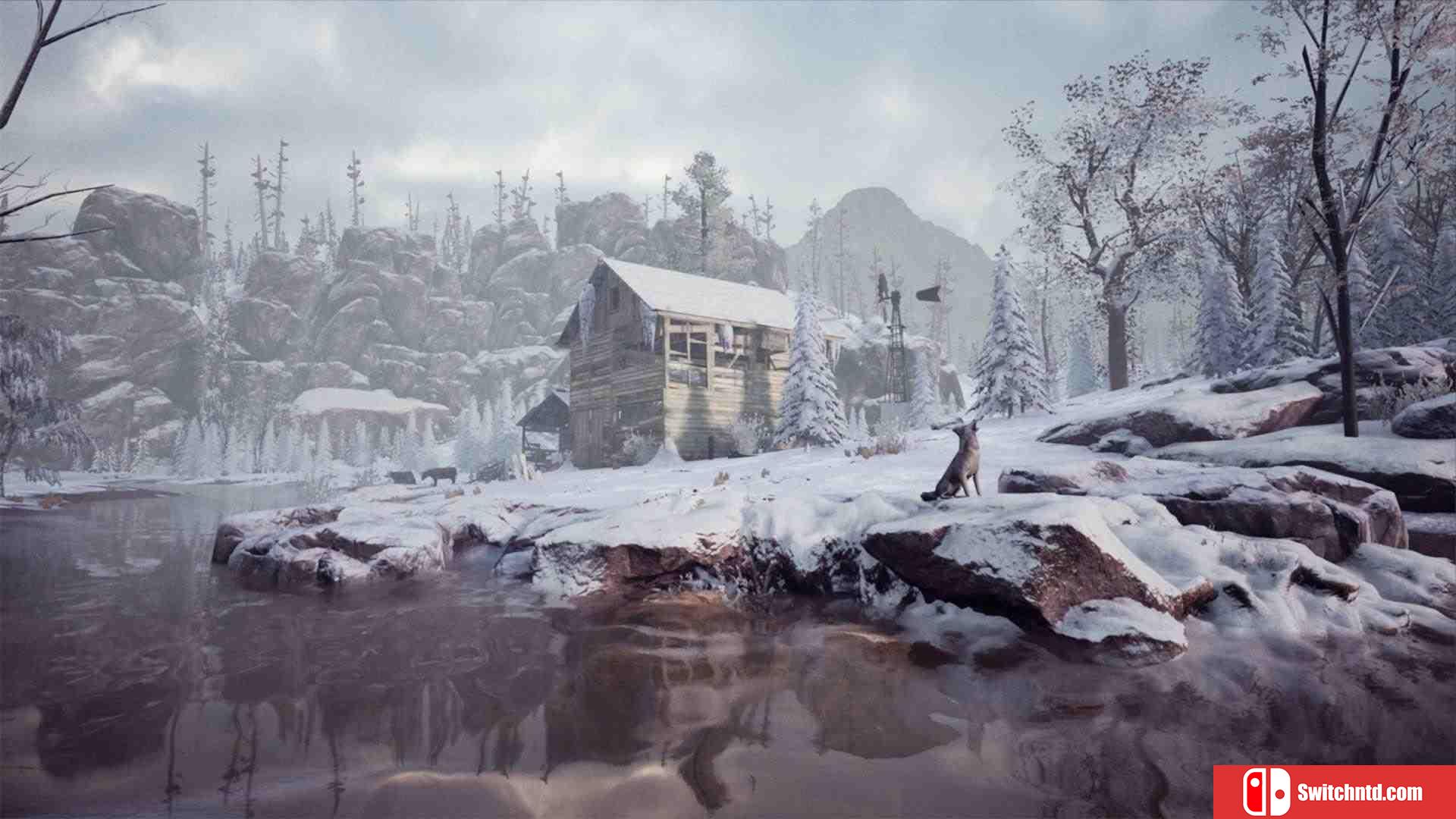 《适雪植物（Chionophile）》Build 8444558 P2P硬盘版[EN]_2