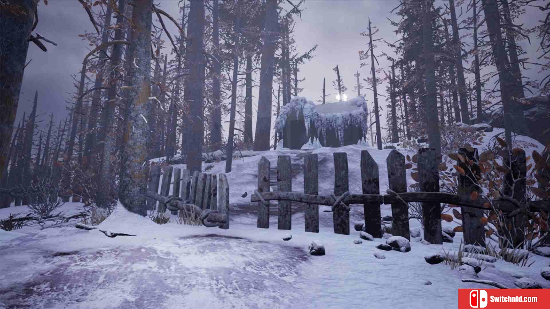 《适雪植物（Chionophile）》Build 8444558 P2P硬盘版[EN]_5