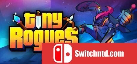 《小小肉鸽（Tiny Rogues）》Early Access P2P硬盘版[EN]_0