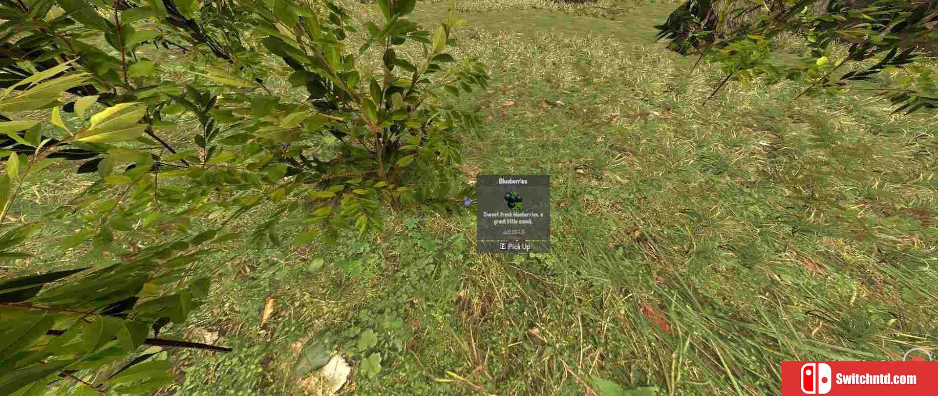 《错误输出（BugOut）》v3.2.01 P2P硬盘版[EN]_5