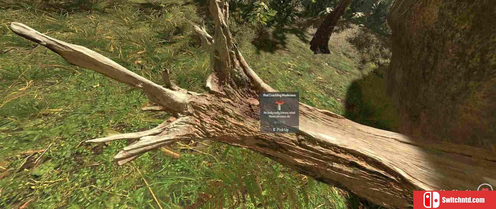 《错误输出（BugOut）》v3.2.01 P2P硬盘版[EN]_4