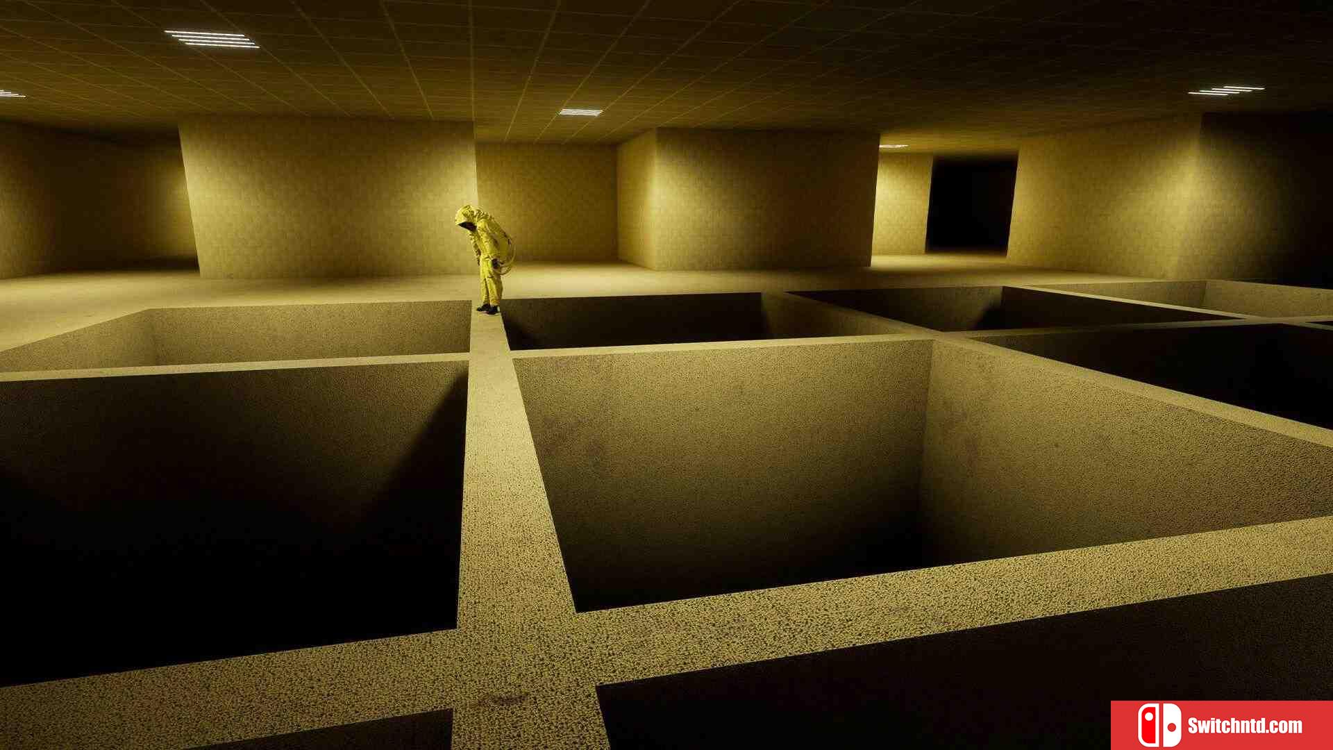 《密室：一起逃亡（Backrooms: Escape Together）》Early Access P2P硬盘版[EN]_3