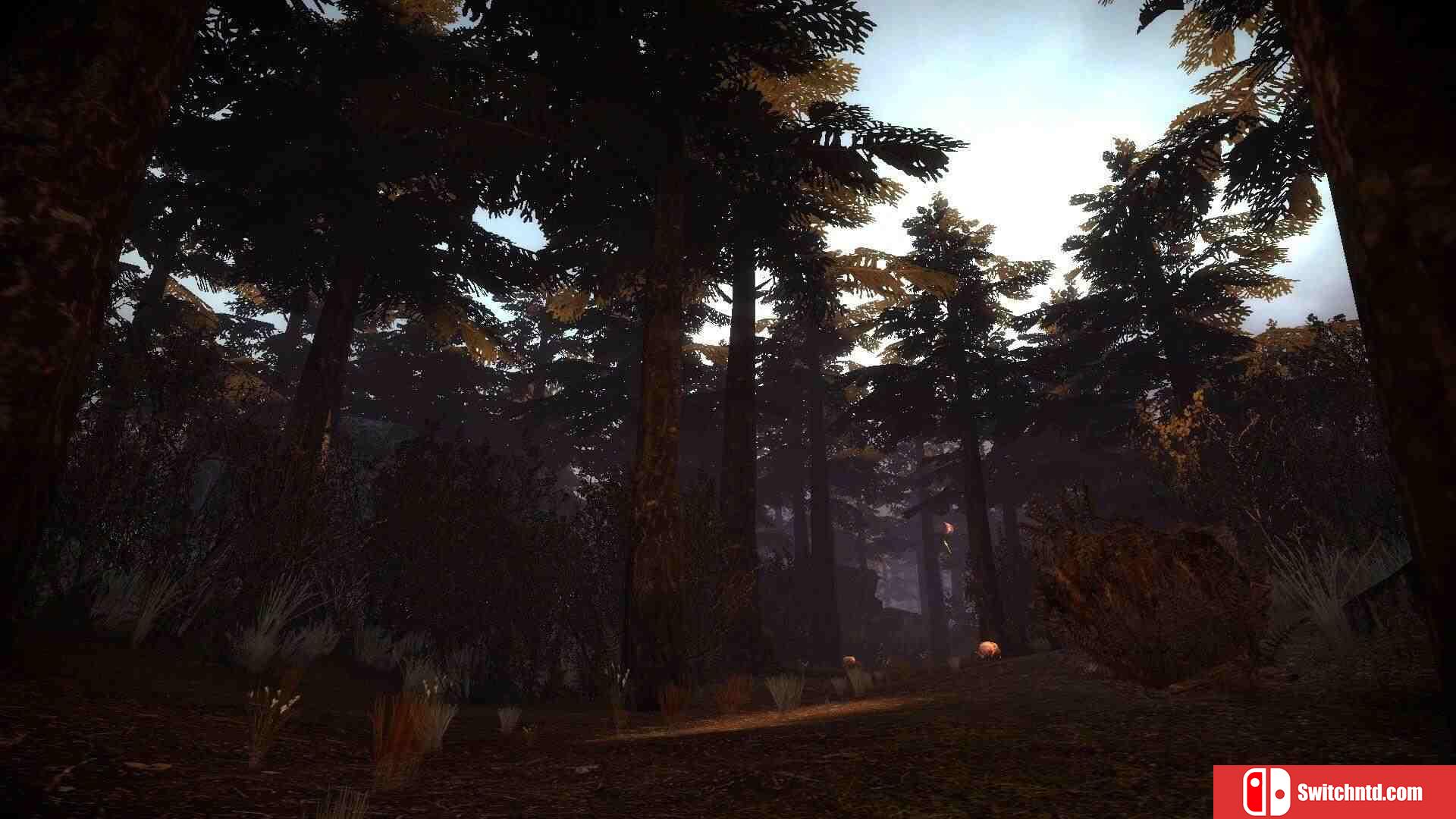 《撤离（Evacuation）》v1.3 P2P硬盘版[EN]_2