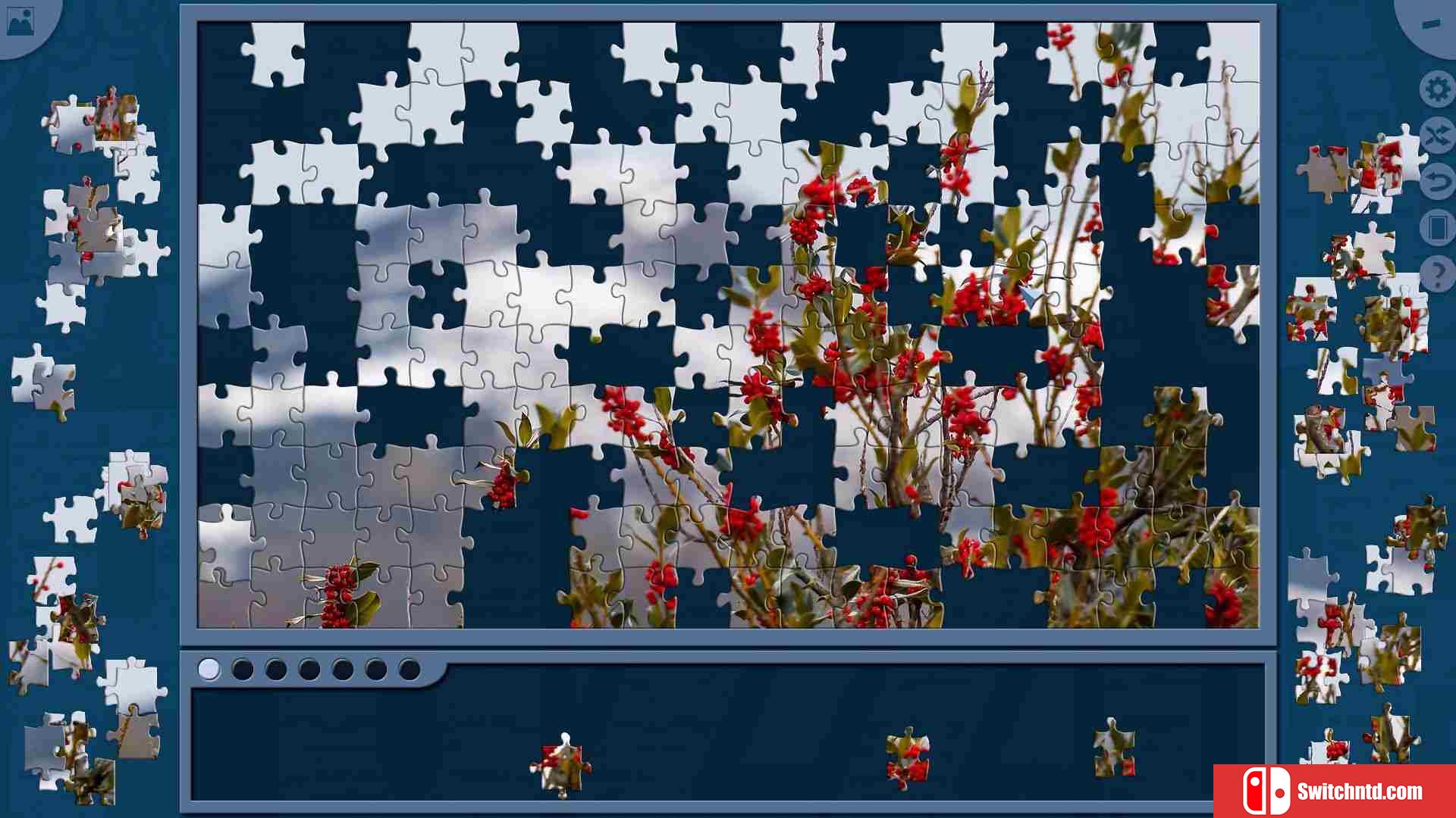 《拼图爱好者（Jigsaw Puzzle Lovers）》RAZOR硬盘版[EN]_3