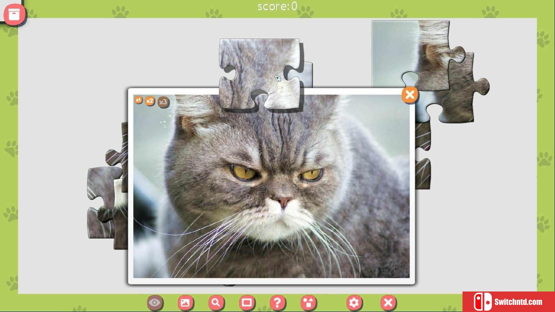 《1001拼图：可爱猫咪（1001 Jigsaw. Cute Cats 3）》RAZOR硬盘版[EN]_5