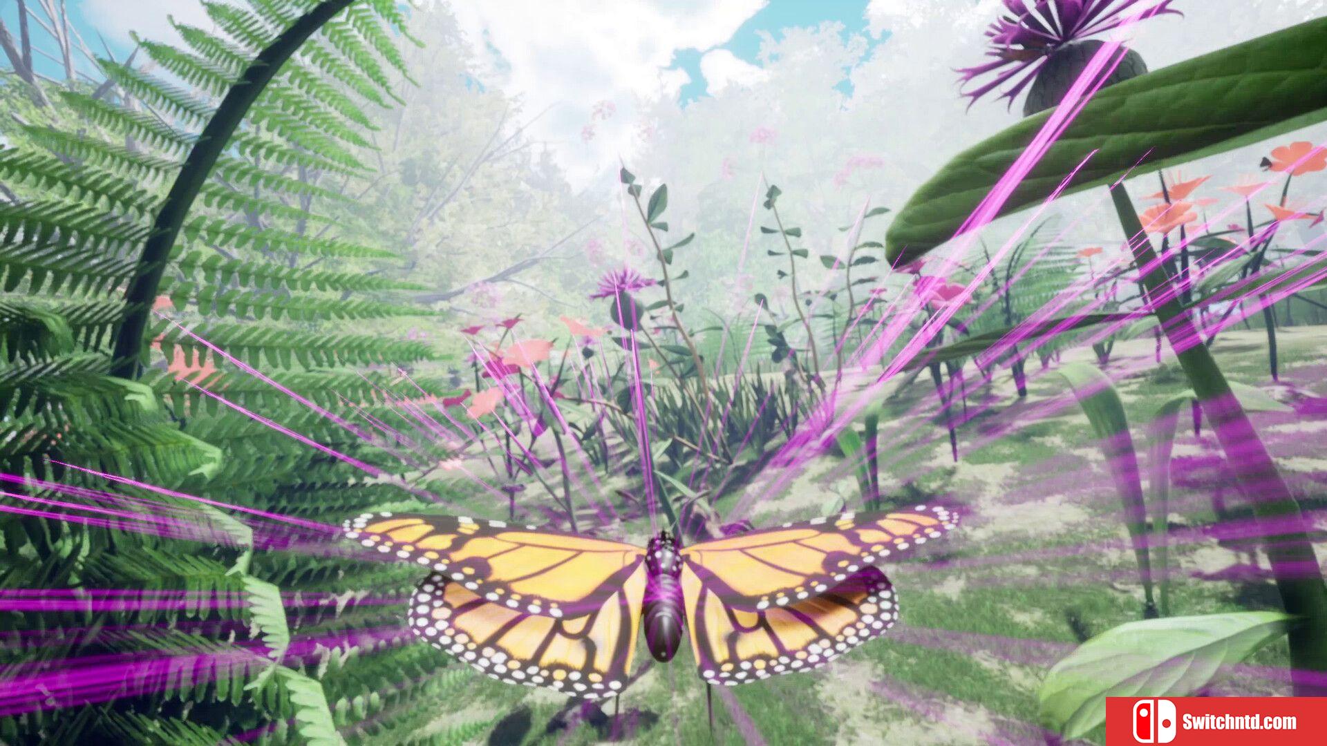 《自然与生命：沉醉于花蜜（Nature And Life - Drunk On Nectar）》TENOKE镜像版[EN]_2