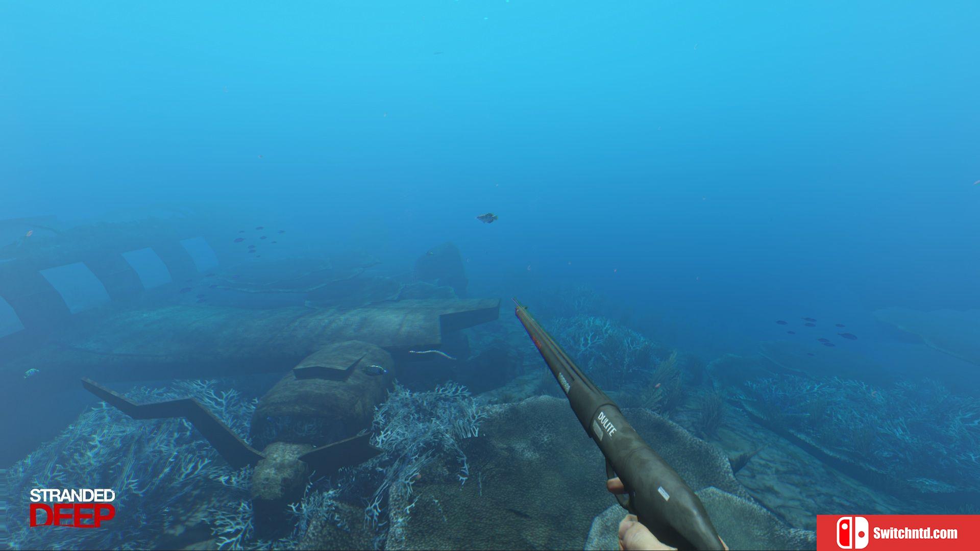 《荒岛求生（Stranded Deep）》v0.74.00 P2P硬盘版[EN]_4