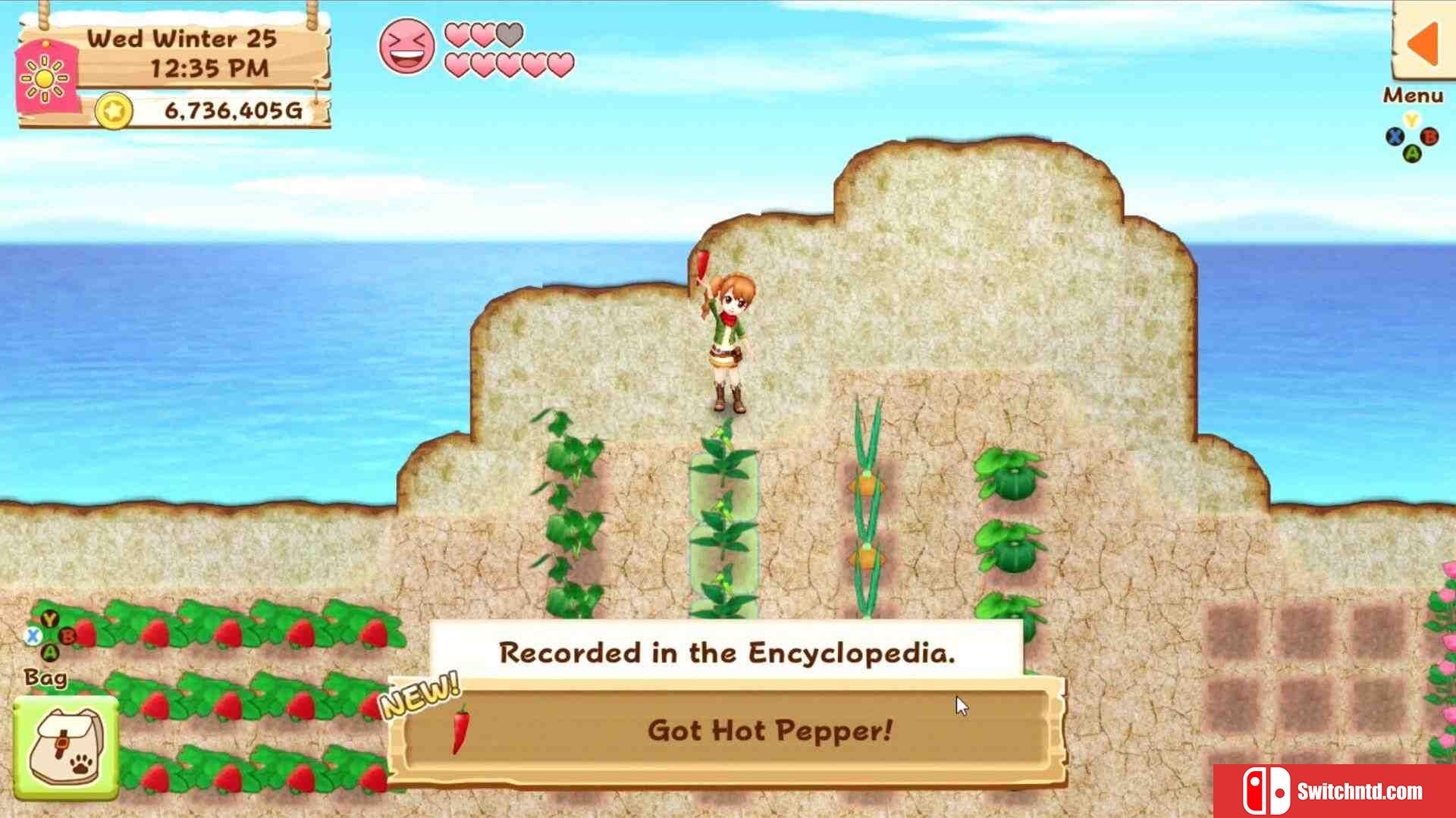 《牧场物语：希望之光（Harvest Moon: Light of Hope）》Build 2942480 Chronos硬盘版[EN]_2