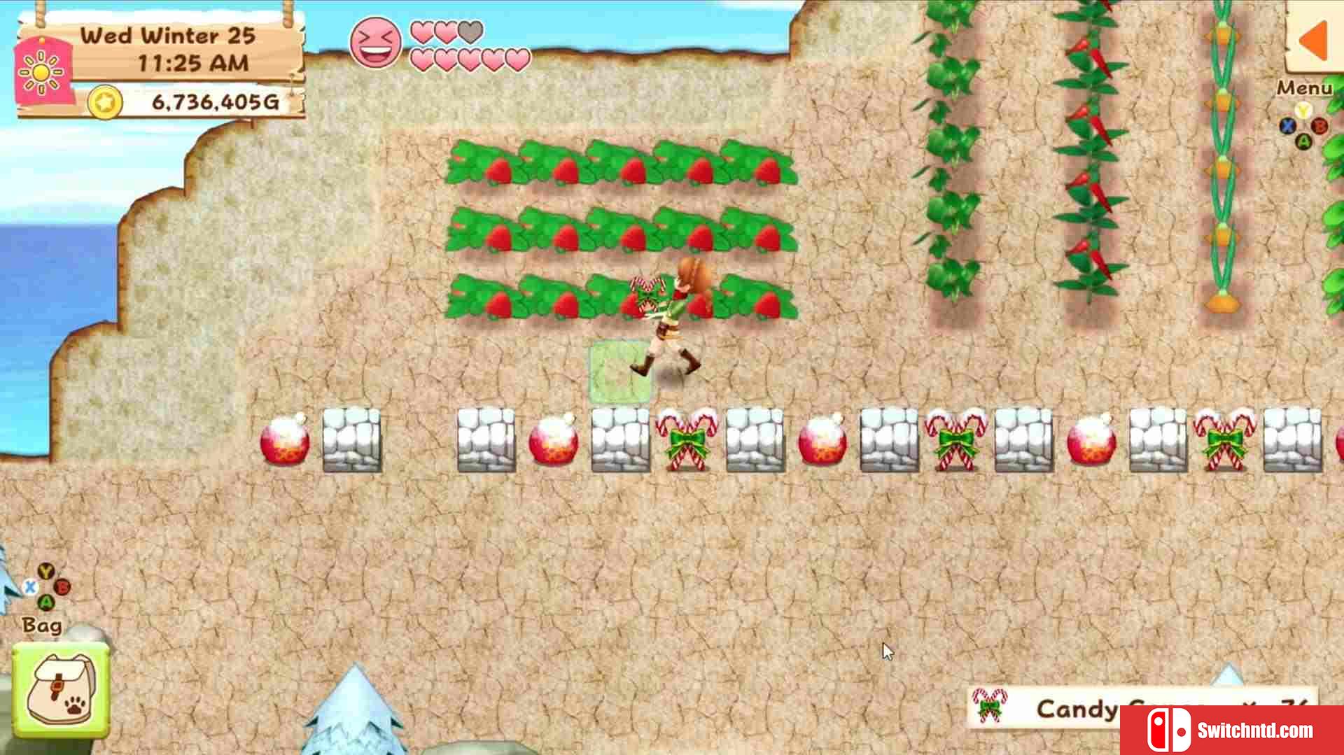 《牧场物语：希望之光（Harvest Moon: Light of Hope）》Build 2942480 Chronos硬盘版[EN]_5