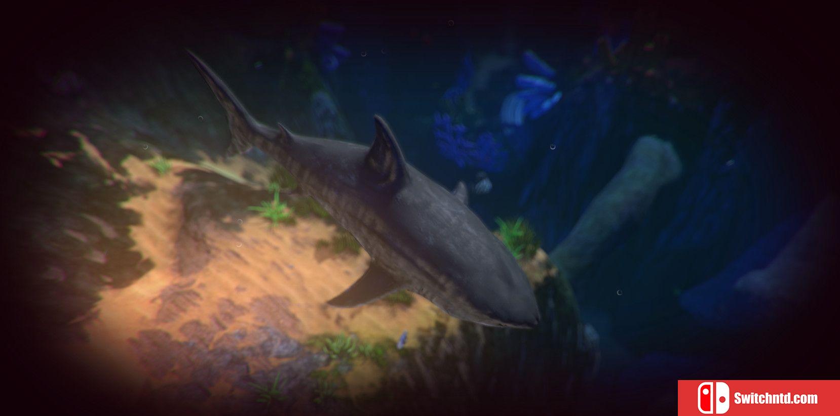 《海底大猎杀（Feed and Grow: Fish）》v0.13 P2P硬盘版[EN]_2