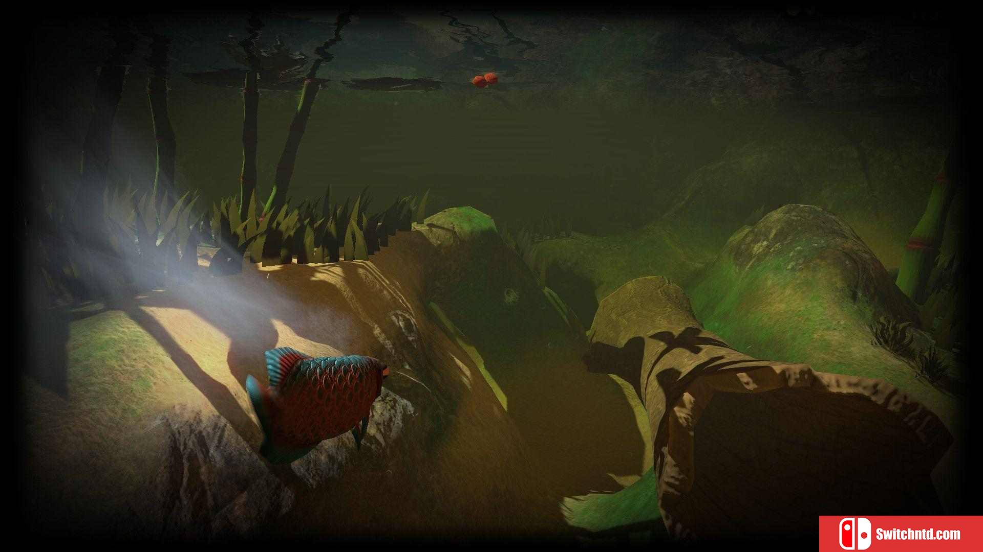 《海底大猎杀（Feed and Grow: Fish）》v0.13 P2P硬盘版[EN]_8