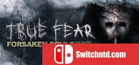 《真实恐惧：被遗弃的灵魂2（True Fear: Forsaken Souls Part 2）》v1.8.1 GOG硬盘版[EN]_0
