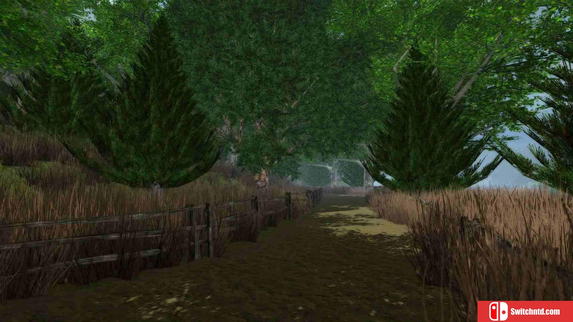 《龙之风暴（Dragon Storm）》DVN硬盘版[EN]_1