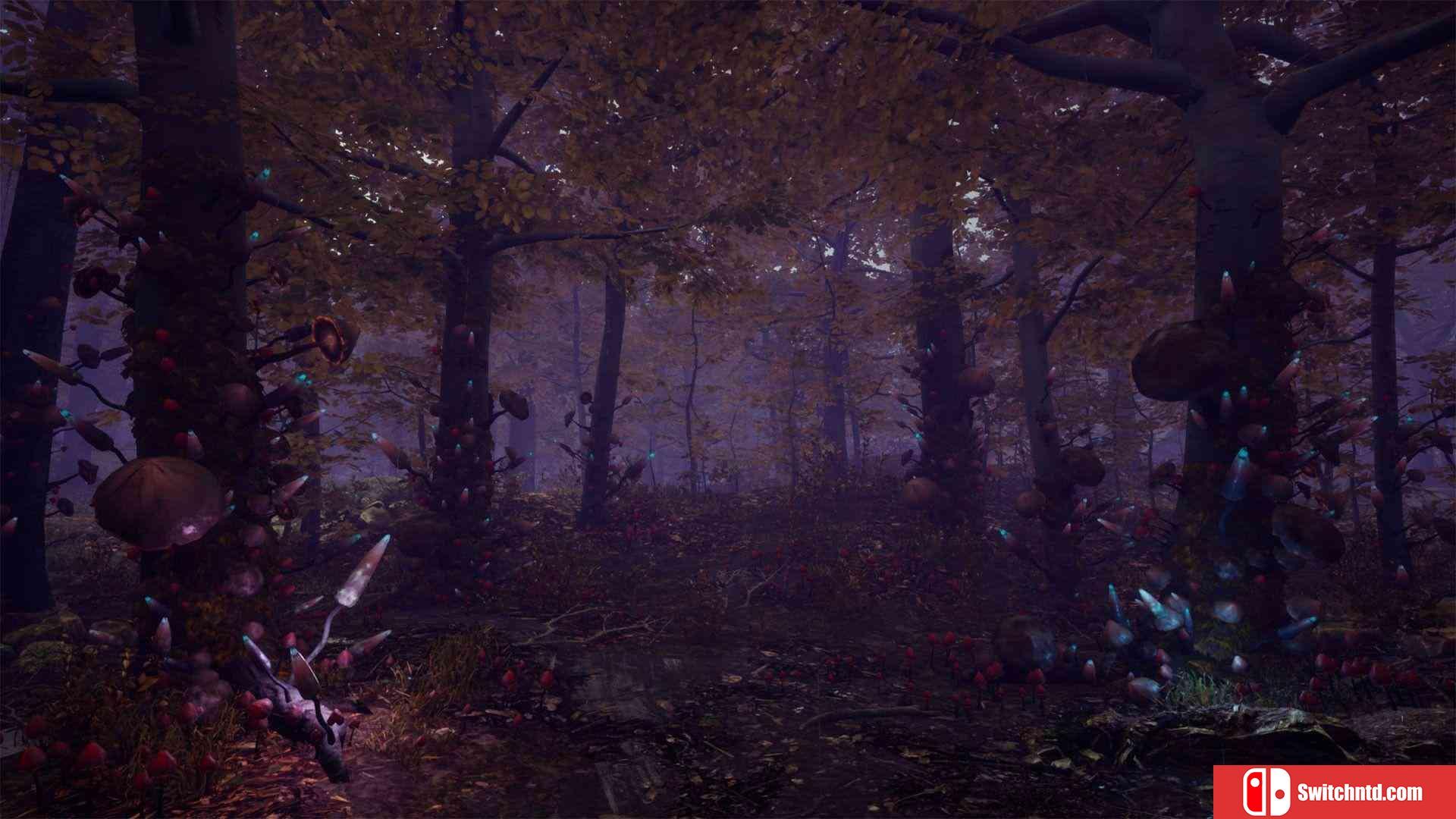 《Pluviophile（Pluviophile）》PLAZA镜像版[EN]_3